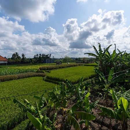 Oemah Joglo Bali Villa Ubud  Luaran gambar